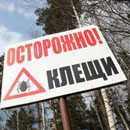 Осторожно! Клещи
