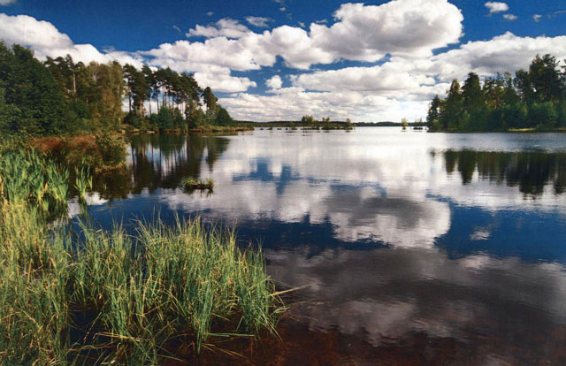 Фото О.Еременко